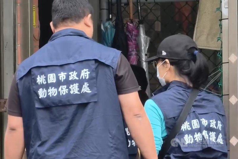 桃園市楊梅區某訓犬學校疑發生虐狗事件，市府動物保護處獲報後24日前往稽查，經查行為人是離職員工，於視訊時坦承因情緒而有不當行為，動保處後續將依動保法裁罰。中央社記者吳睿騏桃園攝　115年2月24日