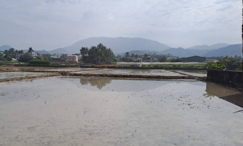 高雄旗山溪川流量下降，杉林區有農民反應因位於灌溉末端致稻田乾涸龜裂。農田水利署高雄管理處表示，本輪灌供水天數將由原3.5天延長至4天。（農田水利署高雄管理處提供）中央社記者蔡孟妤傳真 115年2月24日