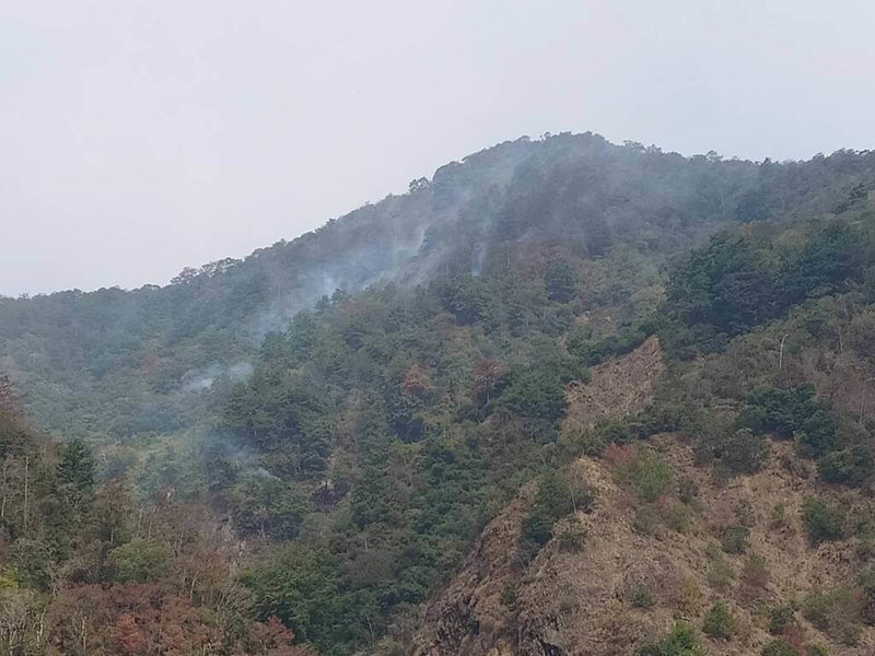 南投縣埔里鎮觀音瀑布附近林地15日起火，火勢原於21日下午控制，處理殘火，但24日因風速增強再度延燒，受災擴大約10公頃達近40公頃，25日持續搶救。（林業及自然保育署南投分署提供）中央社記者蕭博陽南投縣傳真　115年2月25日