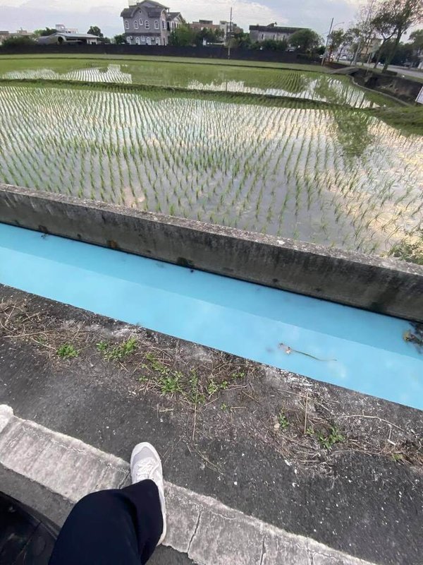 宜蘭礁溪一處農田水溝24日遭污染，水色呈現Tiffany藍。縣府環保局獲報，隨即派員於半小時內趕抵現場，但水色已恢復正常，經查周邊都無異狀，後續將擴大訪查追蹤，找出污染源。（Threads網友yryr2__4提供）中央社記者沈如峰宜蘭縣傳真　115年2月25日