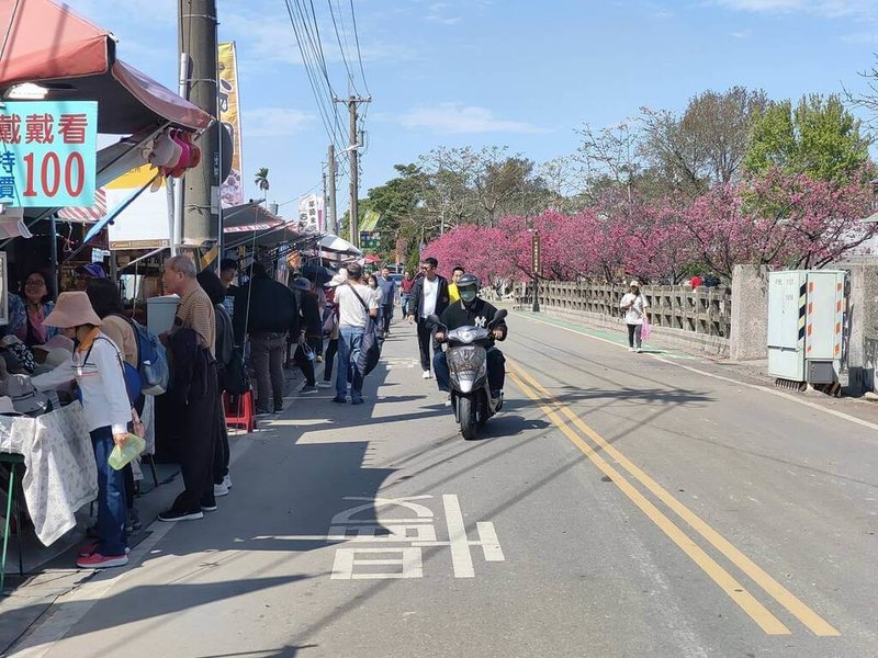 台中市后里區泰安派出所旁櫻花林盛開時美景如畫，區公所辦的櫻花季27日登場，歡迎民眾賞花旅遊。（民眾提供）中央社記者趙麗妍傳真　115年2月26日
