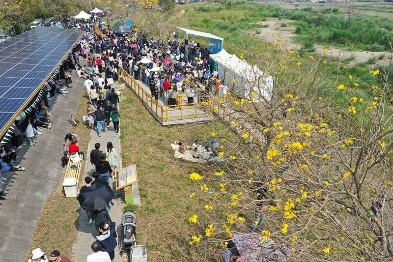 嘉義市八掌溪右岸堤防黃花風鈴木目前花況綻放約1成，市府將於3月7、8日2天舉辦「潮風鈴．黃花瘋音樂市集」，邀民眾前來賞花聽音樂。圖為114年活動情形。（嘉義市府提供）中央社記者姜宜菁傳真　115年2月26日