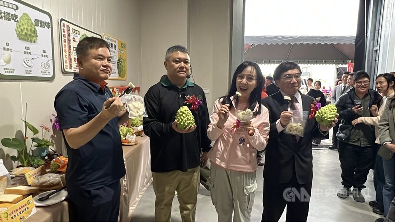 為穩定台東鳳梨釋迦產銷，農糧署副署長陳啟榮（前右1）和民進黨立委陳瑩（左3）、莊瑞雄（左1）28日參加台東山漾蔬果運銷合作社的冷練加工場啟用時宣布，對配合鳳梨釋迦產銷調節的加工業者提供專案貸款及補助果品採購周轉金利息。中央社記者盧太城台東攝 115年2月28日