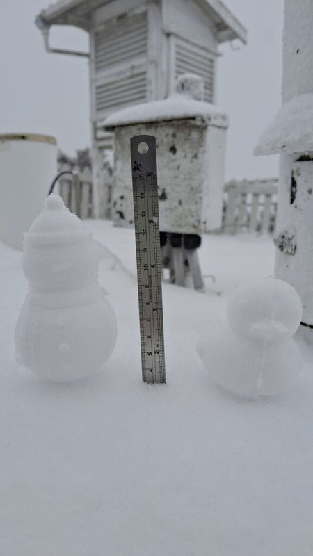 氣象署說明，28日3500公尺以上高山有零星降雪機會，玉山氣象站上午7時10分降雪，目前持續降雪中。（氣象署提供）中央社記者吳欣紜傳真 115年2月28日