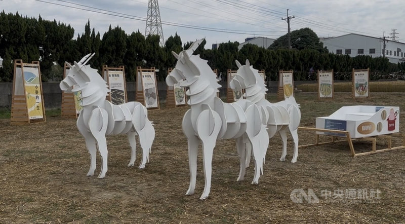 2026台中大雅小麥產業文化節7日即將登場,今年活動以「麥穗蹦馬戲」為主題,相關造景2日於麥田中亮相。中央社記者趙麗妍攝 115年3月2日