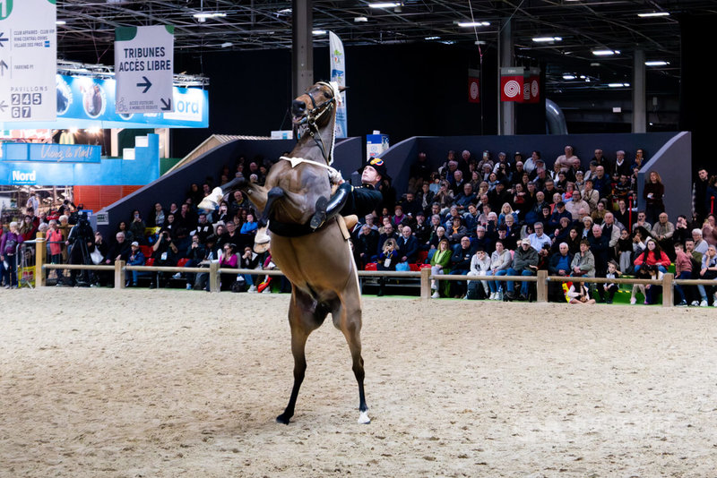 法國國家級沙木爾黑騎士馬術團於2月21日至3月1日期間，首次在巴黎農業大展推廣法國傳統馬術。圖為「鞠躬跳」（La Courbette），一種讓馬藉著後肢支撐將前肢抬起，靜待數秒的姿勢。中央社記者李若韻巴黎攝　115年3月3日