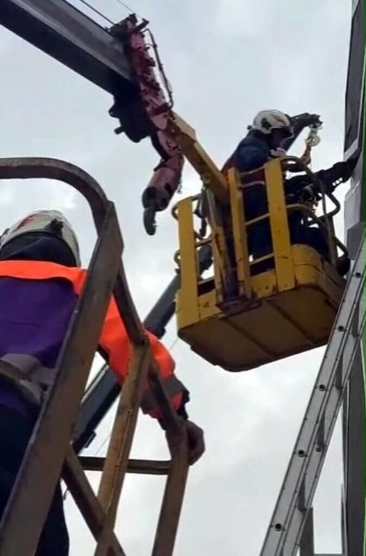 2026台灣燈會已在嘉義熱鬧開幕，不過4日發生一名維修工人在主燈區迎賓門顯示面板操作設備時，因面板伸縮裝置復位，導致其左手遭夾傷。（民眾提供）中央社記者黃國芳傳真　115年3月4日