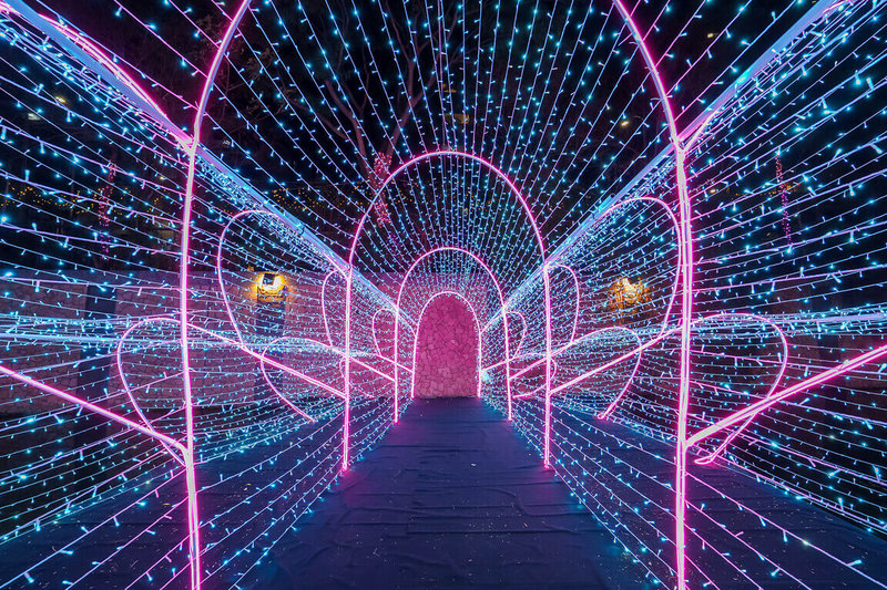 新北市新莊中港大排光雕展6日晚間開幕，今年光雕以夢幻星河為主題，超過300萬盞LED燈浪漫迎接白色情人節，即起至3月29日每晚6時至10時亮燈。（水利局提供）中央社記者曹亞沿傳真　115年3月6日