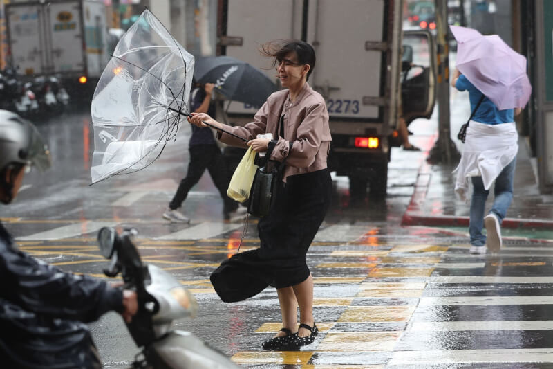 圖為去年11月颱風鳳凰發布陸上警報後，台北市中正區行人的雨傘被強風吹得掀翻變形。（中央社檔案照片）