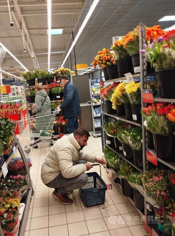 鬱金香是立陶宛婦女節的代表花朵。男士們會送鬱金香給身邊女性表達尊敬，這天賣出的花可能比情人節還多。中央社記者游堯茹維爾紐斯攝　115年3月8日