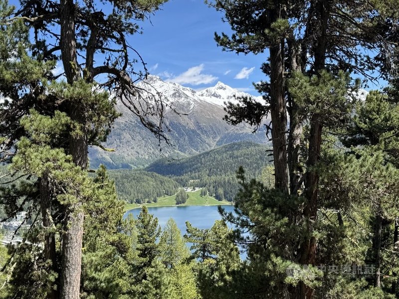在瑞士的山林之間，今日獵人的角色不再者是狩獵者，也同時有生態平衡的任務。中央社記者郭芳君瑞士阿爾高州攝　115年3月9日