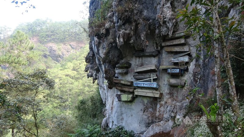菲律賓北部山城薩加達（Sagada），原住民有將亡者棺木置於峭壁的習俗，形成懸棺文化。中央社記者林行健薩加達鎮攝　115年3月9日