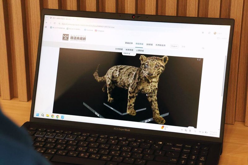 國立自然科學博物館精選典藏網提供高精度的數位內容，無論是學術研究需要的高精度量測，或是單純的科普探索，都能在點選與滑動間完成。圖為雲豹。（國立自然科學博物館提供）中央社記者趙麗妍傳真　115年3月10日