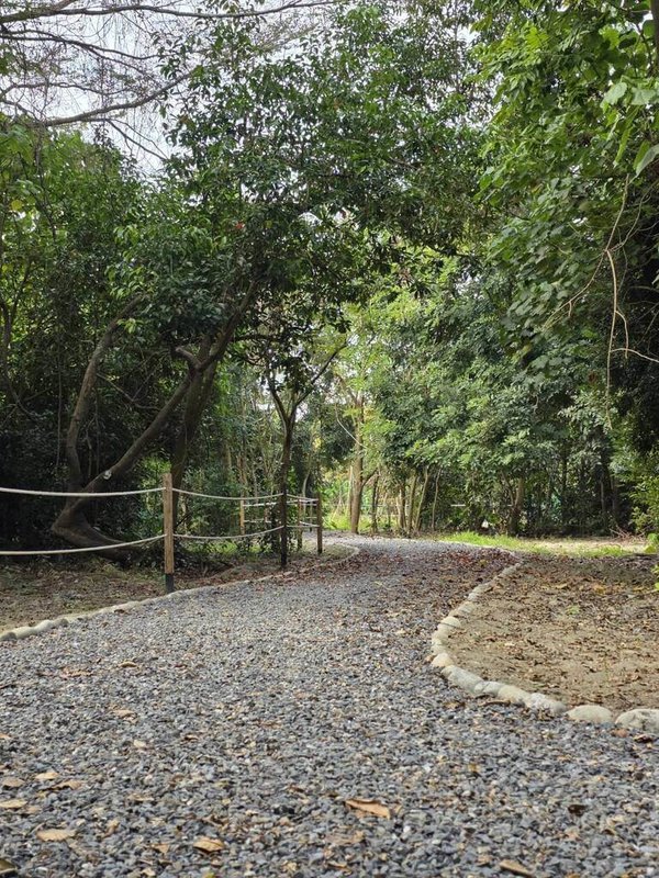屏東萬丹森林公園15日啟用，園區內規劃多條親近自然步行動線，包括環繞公園綠意「環園步道」，清晨或傍晚都能隨光影變化感受森林靜謐氛圍。（屏東縣政府工務處提供）中央社記者黃郁菁傳真 115年3月10日