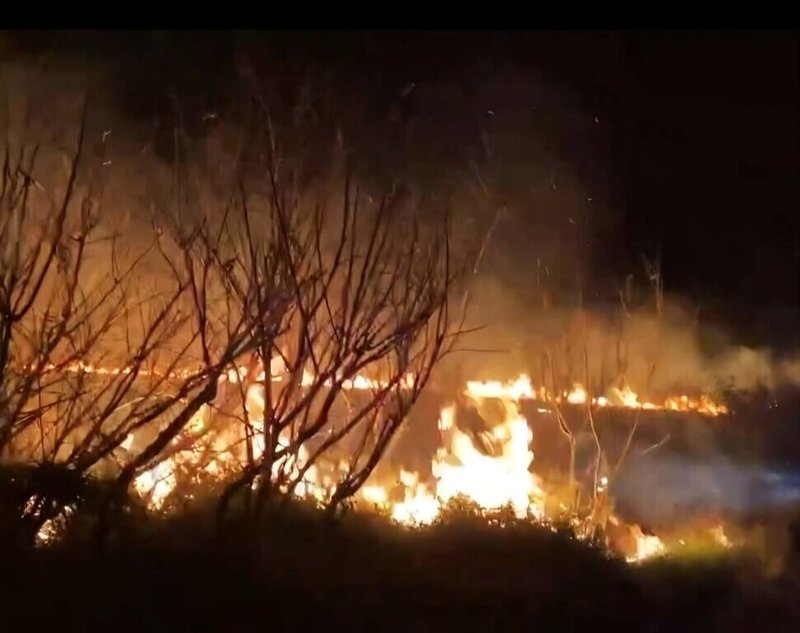 澎湖縣望安鄉西安村9日晚間發生雜草火警，警消、岸巡等單位在強風下搶救，至10日凌晨1時撲滅，所幸無人傷亡，燃燒面積達1萬平方公尺。（澎湖縣消防局提供）中央社  115年3月10日