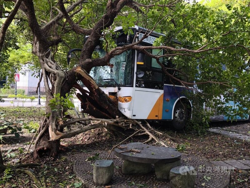 三軍總醫院內湖院區內11日發生首都客運公車自撞路樹事故，造成駕駛和乘客共10人輕微碰撞傷。（翻攝照片）中央社記者黃麗芸傳真 115年3月11日