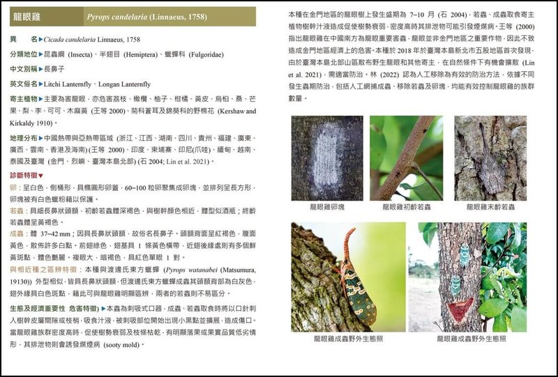 農業部農業試驗所新出版的「金門昆蟲圖鑑」，為離島地區建立可持續更新的昆蟲基礎資料庫，強化有害生物監測。（農試所提供）中央社記者汪淑芬傳真　115年3月11日