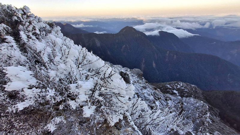 強烈大陸冷氣團及輻射冷卻影響，玉山氣象站11日凌晨有短暫降雪；凌晨2時50分最低溫為攝氏零下8.9度，樹梢結霧淞。（氣象署提供）中央社記者張雄風傳真　115年3月11日