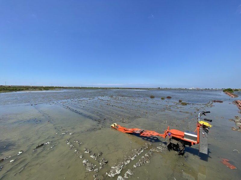 海草是儲碳高手，農業部水產試驗所東部漁業生物研究中心2025年在嘉義東石鹽田，啟動名為貝克氏鹽草的海草復育，為改善人工種植效率，團隊改良農業機械。（水試所東部漁業生物研究中心提供）中央社記者汪淑芬傳真 115年3月12日