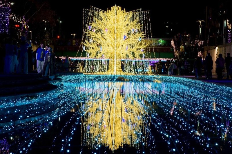 新北市2026中港大排光雕展「星耀中港 夢幻星河」光雕秀日前登場，廣受民眾好評。4大主題展區中必拍打卡亮點，為高達7公尺的立體發光裝置「星耀之樹」。（水利局提供）中央社記者王鴻國傳真　115年3月12日