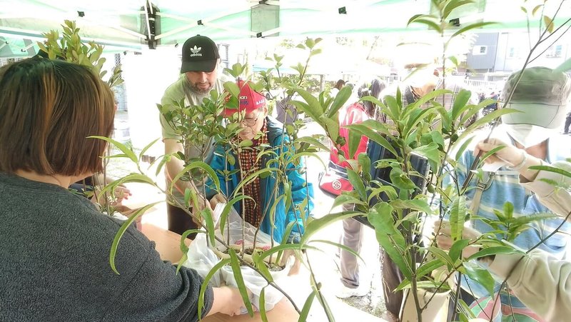 農業部林業及自然保育署南投分署12日舉辦植樹節活動，發放9000株苗木，吸引民眾前往排隊領取喜愛的苗木。（林業及自然保育署南投分署提供）中央社記者蕭博陽南投縣傳真　115年3月12日