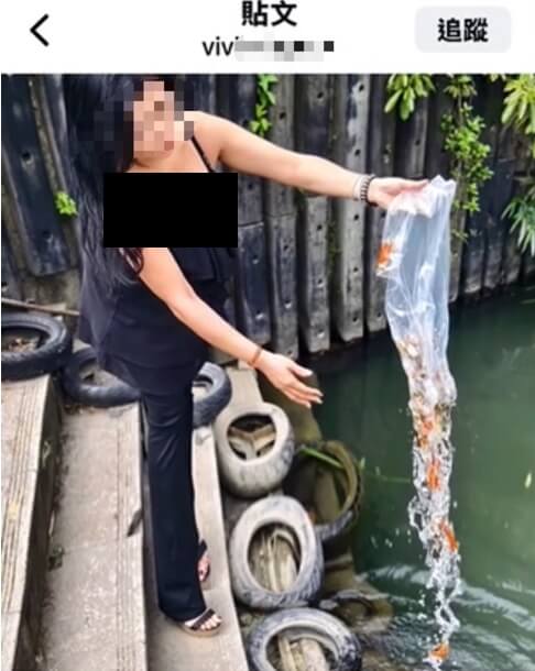 (圖取自新北市政府網頁ntpc.gov.tw)