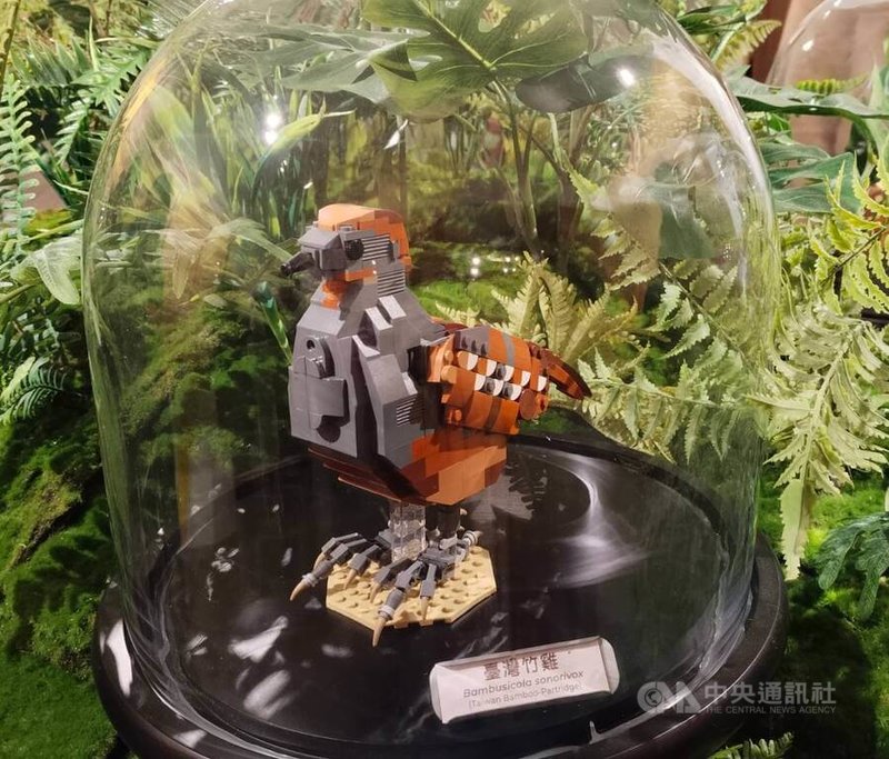 東眼山國家森林遊樂區遊客中心整修後，13日重新啟用，共分3個館，其中二館「東眼山觀察所」展出以樂高積木等比打造的台灣竹雞等動物模型。中央社記者汪淑芬攝　115年3月13日