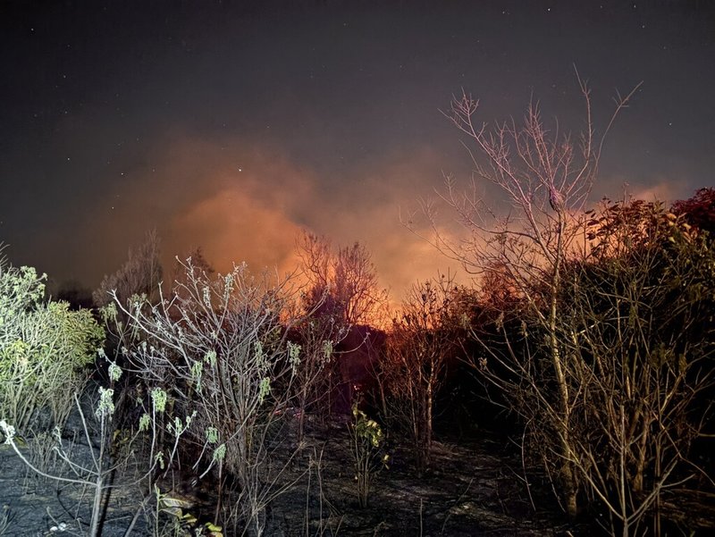 金門縣金沙鎮鎮海宮附近13日深夜發生雜草火警，消防局獲報派遣人車搶救，14日凌晨3時25分順利撲滅，燃燒面積約3千多坪，無人員傷亡及財物損失。（金門縣消防局提供）中央社記者吳玟嶸傳真　115年3月14日
