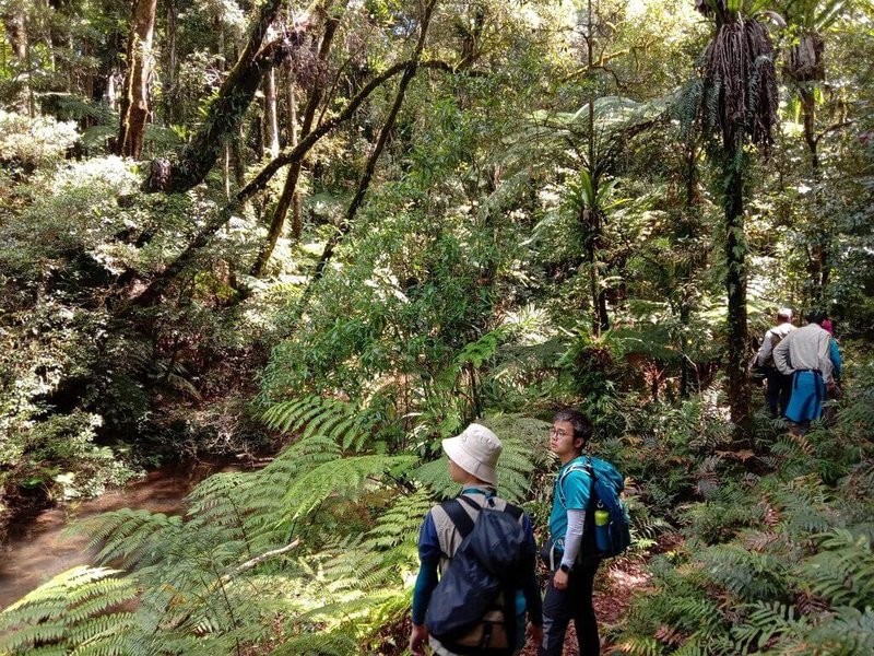 國立中興大學昆蟲系助理教授蕭昀童年受遊戲「寶可夢」啟發，對昆蟲產生興趣，投入昆蟲分類學研究。圖為蕭昀在澳洲留學相關野外調查照片。（中興大學提供）中央社記者趙麗妍傳真　115年3月16日