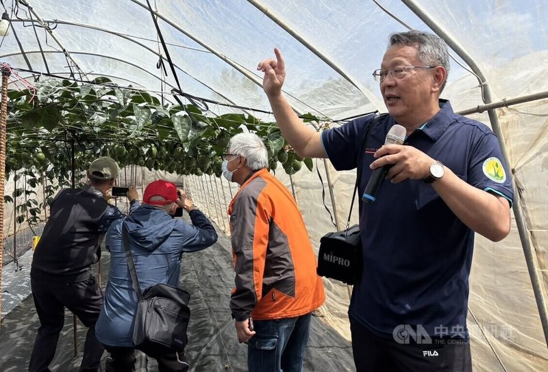 農業部高雄區農業改良場17日向澎湖農民推廣春季百香果栽種技術，除可為澎湖帶來具競爭力的特色作物，亦可提升在地農業多元價值與農民收益。中央社  115年3月17日