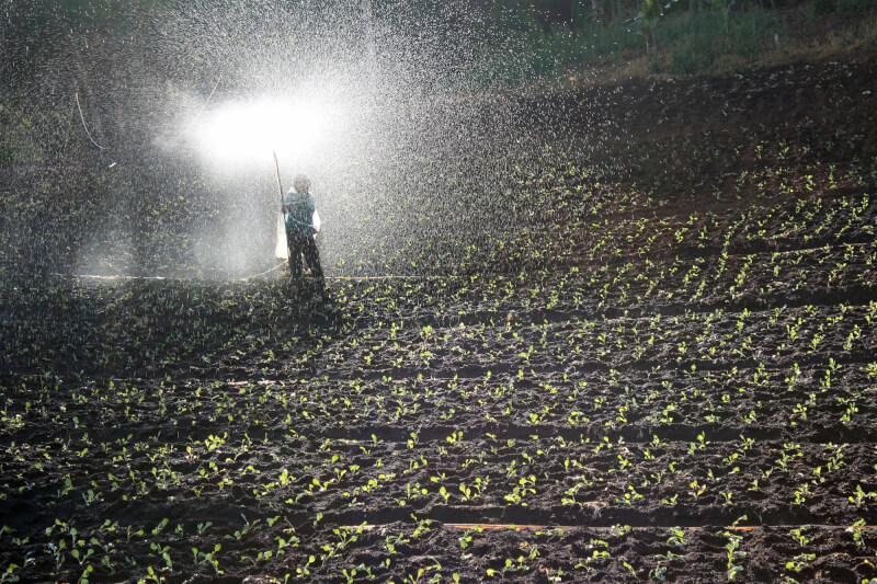 示意圖。（圖取自Pixabay圖庫）