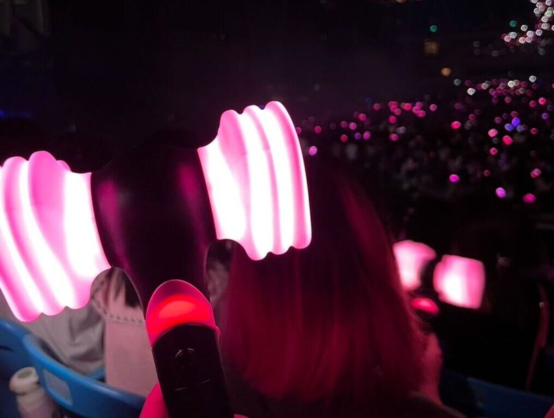 韓團BLACKPINK演唱會,圖為舉著BLACKPINK官方手燈打卡的粉絲。(讀者提供) 中央社記者陳婕翎傳真 115年3月22日