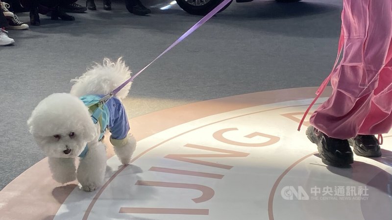 第13屆北京國際寵物用品展覽會期間的狗狗走秀。中央社記者呂佳蓉北京攝  115年3月22日