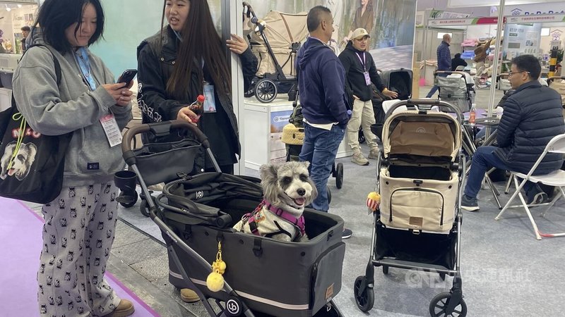 「養兒式養寵」在中國越來越盛行，寵物消費在消費降級中逆勢成長。中央社記者呂佳蓉北京攝 115年3月22日