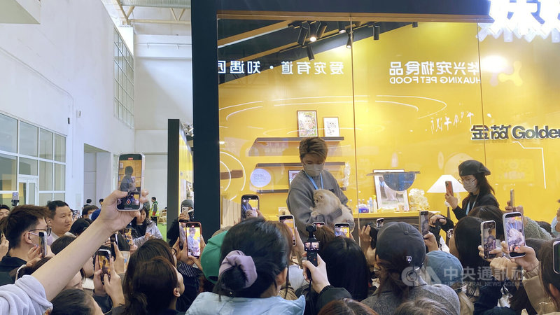 北京國際寵物用品展覽會19日至22日舉行。其中，網紅貓咪巡遊，吸引許多「貓粉」目睹風采。中央社記者呂佳蓉北京攝 115年3月22日