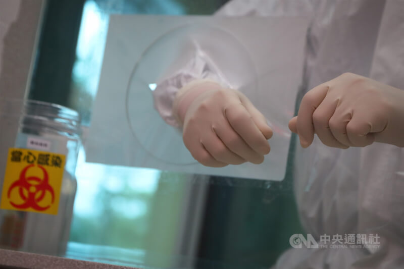 圖為戴醫用手套作業的醫護人員。（中央社檔案照片）