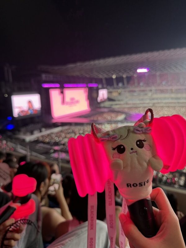 退休族Veronica追星，她參加的人生第一場演唱會，就是韓團BLACKPINK高雄場演出。圖為舉著BLACKPINK官方手燈打卡的粉絲。（讀者提供）中央社記者陳婕翎傳真　115年3月22日