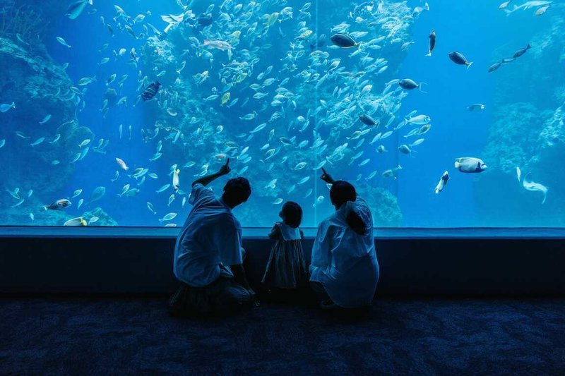 台中市觀光旅遊局攜手台中海洋館推出「圖書募集~捐書免費暢遊台中海洋館」活動，邀請民眾以捐書行動分享閱讀資源。（台中市觀旅局提供）中央社記者趙麗妍傳真　115年3月23日