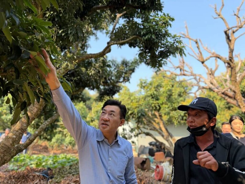 國民黨台中市長初選電話民調25日將登場，爭取提名的立法院副院長江啟臣（左）近日行程滿檔，23日親自前往會勘霧峰區荔枝農損，持續拜訪基層、傾聽民意。（江啟臣辦公室提供）中央社記者趙麗妍傳真　115年3月24日