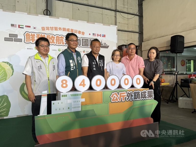 今年冬季氣候冷涼穩定，加上田間病蟲害少，國產甘藍品質與產量同步提升，口感鮮甜。農糧署中區分署長陳尚仁（左1）25日說，從去年12月起接獲日本、美加等市場訂單，目前外銷逾840公噸，力拚月底突破1000公噸大關。  中央社記者姜宜菁攝  115年3月25日