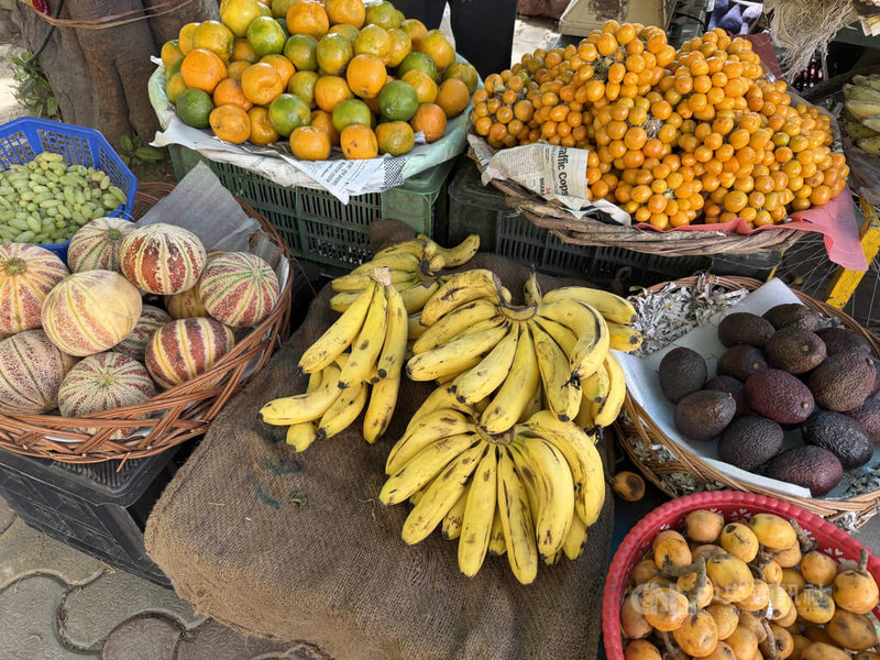 在中東衝突影響下，關鍵海域航運受阻，印度香蕉出口因近8成銷往中東，受到重大衝擊。中央社記者李晉緯新德里攝　115年3月25日