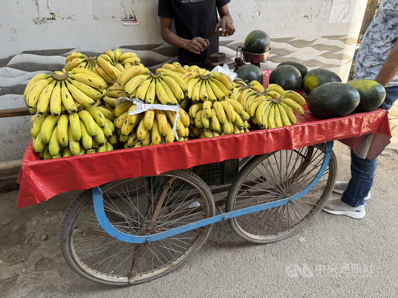 中東衝突讓印度香蕉（圖）外銷到當地的成本大幅增加，但若轉內銷價格又將跌破盤。印度香蕉是否繼續銷往中東，正陷入兩難。中央社記者李晉緯新德里攝　115年3月25日