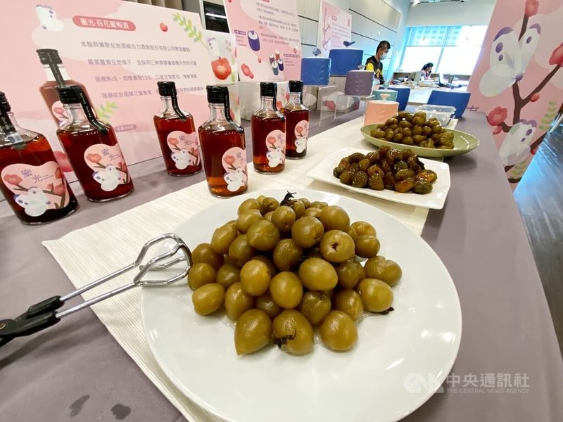 新北市鶯歌陶博館25日舉行「2026春遊三鶯」系列活動記者會，現場也展示醃脆梅、梅酒、設計款梅甕等製品。中央社記者黃旭昇攝　115年3月25日