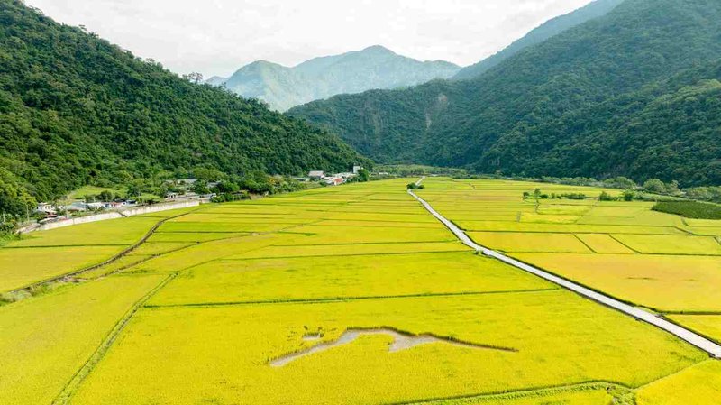 農業部林業及自然保育署25日公布首批通過「保育共生地」獲認證的申請案。玉山銀行、慈心有機農業發展基金會與其他15名民眾共同申請的保育共生地「玉山瓦拉米」，位在花蓮卓溪鄉，地處拉庫拉庫沖積扇，主要透過有機友善耕作與農田棲地營造，保育受威脅魚種「菊池氏細鯽」及台灣黑熊，並提供環境教育與永續發展。（玉山商業銀行提供）中央社記者汪淑芬傳真  115年3月25日