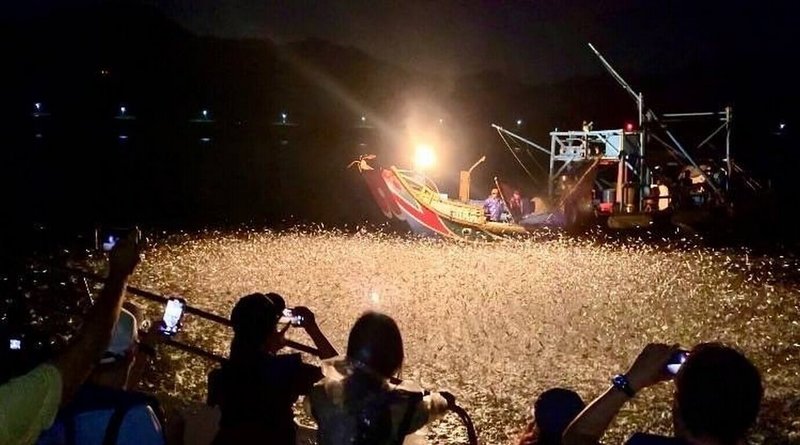 新北市農業局25日表示，「蹦火仔」漁法源自早期漁民利用火光吸引魚群的智慧，以磺石與水產生乙炔氣體，再點燃產生強烈火光的方式，藉由瞬間光亮刺激魚群躍出水面進行捕撈。農業局輔導轉型為觀光漁業。（新北市農業局提供）中央社記者黃旭昇傳真  115年3月25日