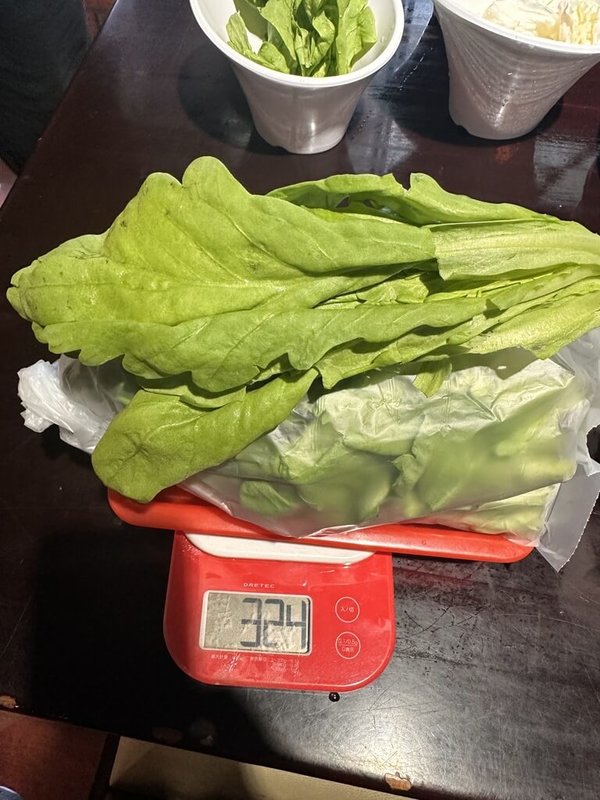 台北市衛生局發布1月到2月執行市售生鮮蔬果農藥殘留檢驗，共抽驗51件蔬果，計13件不符規定、占25.5%，當中茼蒿就占7件之多。（台北市衛生局提供）中央社記者楊淑閔傳真　115年3月25日