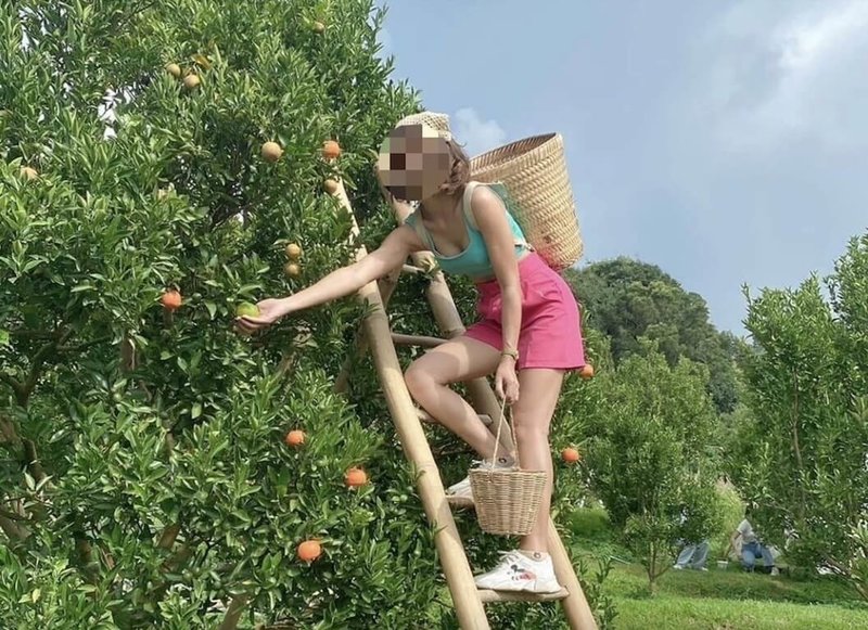 苗栗檢警破獲跨國人口販運的非法仲介集團，涉嫌以農場美女圖吸引泰國籍人士來台非法打工，來台後遭勞力剝削，每天工作16小時並苛扣薪資。（警方提供）中央社記者管瑞平傳真　115年3月26日