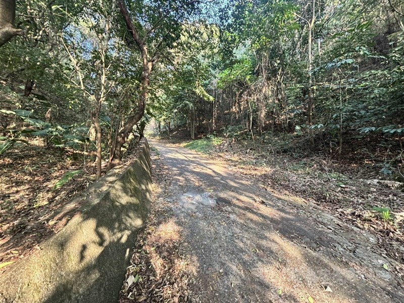 彰化百果山命案，死者疑涉餵食毒品金錢糾紛遭殺害。（中央社檔案照片）