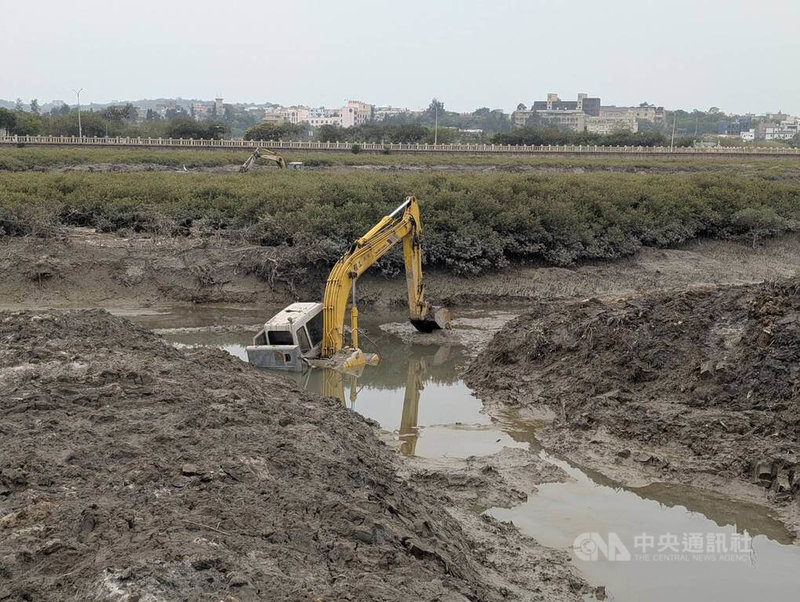 金門海岸受互花米草入侵，改變潮間帶環境，金門縣政府委託廠商派駐怪手進行移除；不過近日有民眾發現金城鎮浯江溪口一台施工怪手陷落泥灘，無法作業。中央社記者吳玟嶸攝　115年3月27日