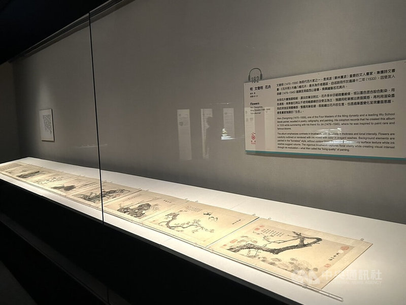 故宮南院即起推出「悅目娛心－文人與匠師的花花世界」特展，展出明代文徵明「花卉冊」共8幅花卉及題跋。中央社記者蔡智明攝　115年3月27日